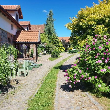 Agroturystyka Karczma Nad Jarem Mierzejewo Mierzejewo  Ngoại thất bức ảnh
